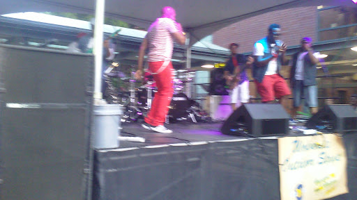 Concert Hall «Max M. and Marjorie S. Fisher Music Center», reviews and photos, 3771 Woodward Ave, Detroit, MI 48201, USA