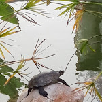 Photo n°9 de l'avis de Karen.o fait le 16/12/2022 à 21:17 sur le  Tivoli Lagos Algarve Resort à Lagos