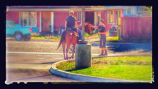 Discount Store «Dollar General», reviews and photos, 44 Davis St, Rio Dell, CA 95562, USA