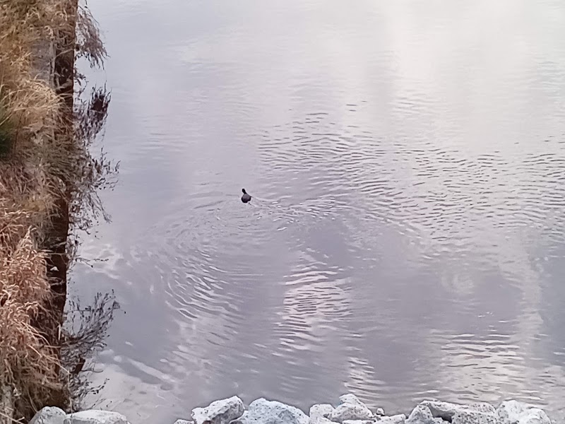 津久野大橋