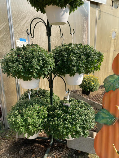 Wholesale Plant Nursery «Garden Fantasy», reviews and photos, 43250 Tyler Rd, Belleville, MI 48111, USA
