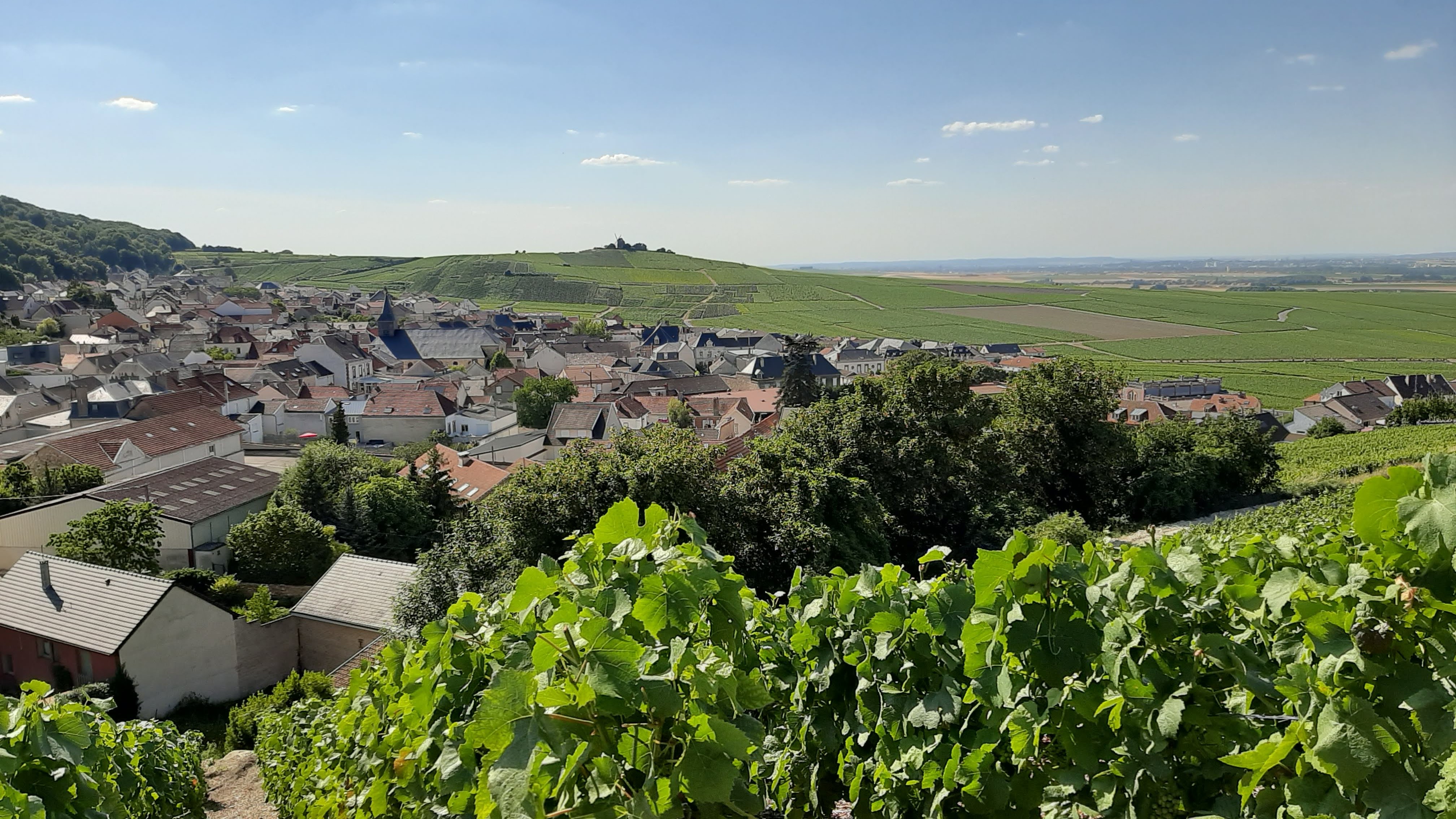 Photo n° 2 de l'avis de Marie.e fait le 06/08/2020 à 19:56