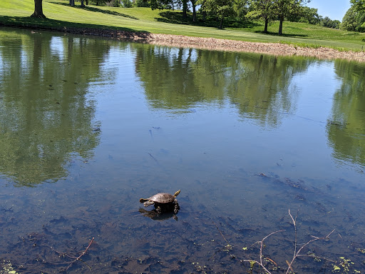 Golf Course «Les Bolstad Golf Course Main Office», reviews and photos, 2275 Larpenteur Ave W, St Paul, MN 55113, USA