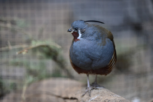 Zoo «Desert Dome & Kingdoms of the Night», reviews and photos, 3701 S 10th St, Omaha, NE 68108, USA