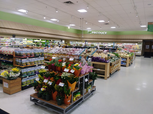 Supermarket «Publix Super Market at Plantation Square», reviews and photos, 5375 N Socrum Loop Rd, Lakeland, FL 33809, USA