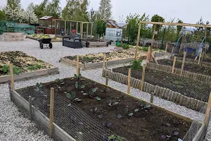 Bagillt Community Garden image