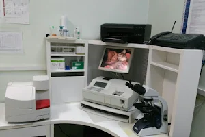 Veterinary clinic Nico image