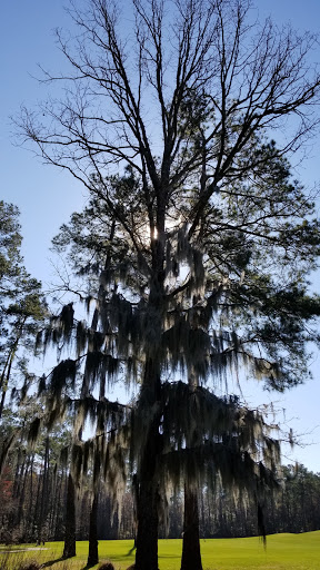 Golf Course «Witch Golf Links», reviews and photos, 1900 SC-544, Conway, SC 29526, USA