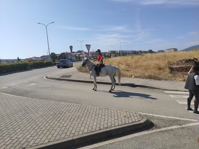 Avaliações doAssociação Equestre de Bragança em Braganza - Outro