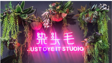 Just Dye It Studio 染头毛