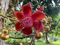 The Outside Life, LLC - Photo 4 - Car repair in , Honolulu