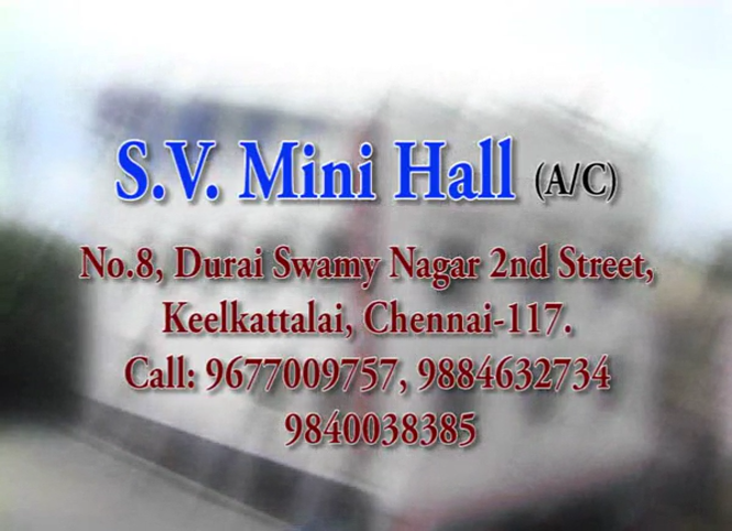 SV Mini Hall