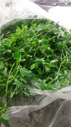 Ice Cream Shop «La Michoacana Premium Pilsen», reviews and photos, 1855 S Blue Island Ave, Chicago, IL 60608, USA