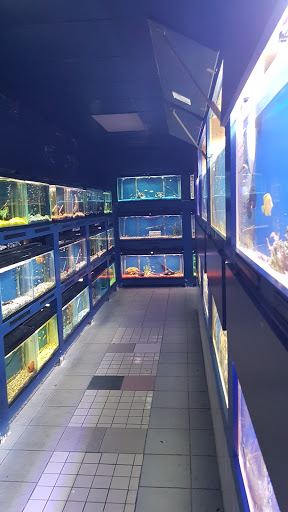 Pet Store «Aqua Workz Aquarium», reviews and photos, 8125 Belvedere Ave, Sacramento, CA 95826, USA