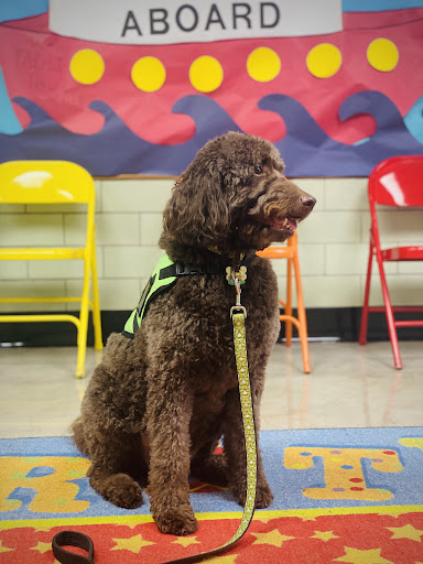 Kennel «Pampered Pets», reviews and photos, 601 Concord Ave, Charlottesville, VA 22903, USA