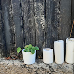 Photo n°4 de l'avis de Raquel.i fait le 19/08/2021 à 12:57 sur le  Miscaro à Redondelo