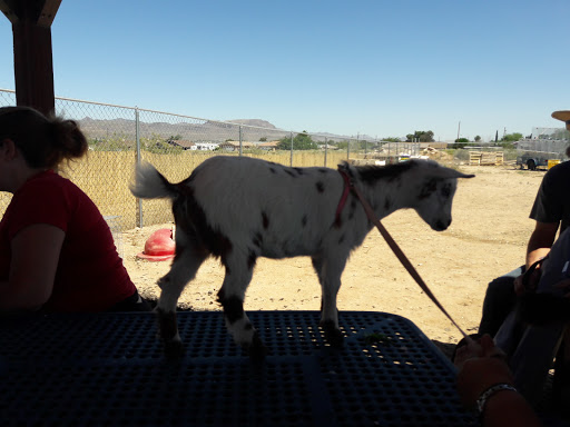 Park «Cecil Davis Park», reviews and photos, 601 Southern Ave & Van Buren St, Kingman, AZ 86401, USA