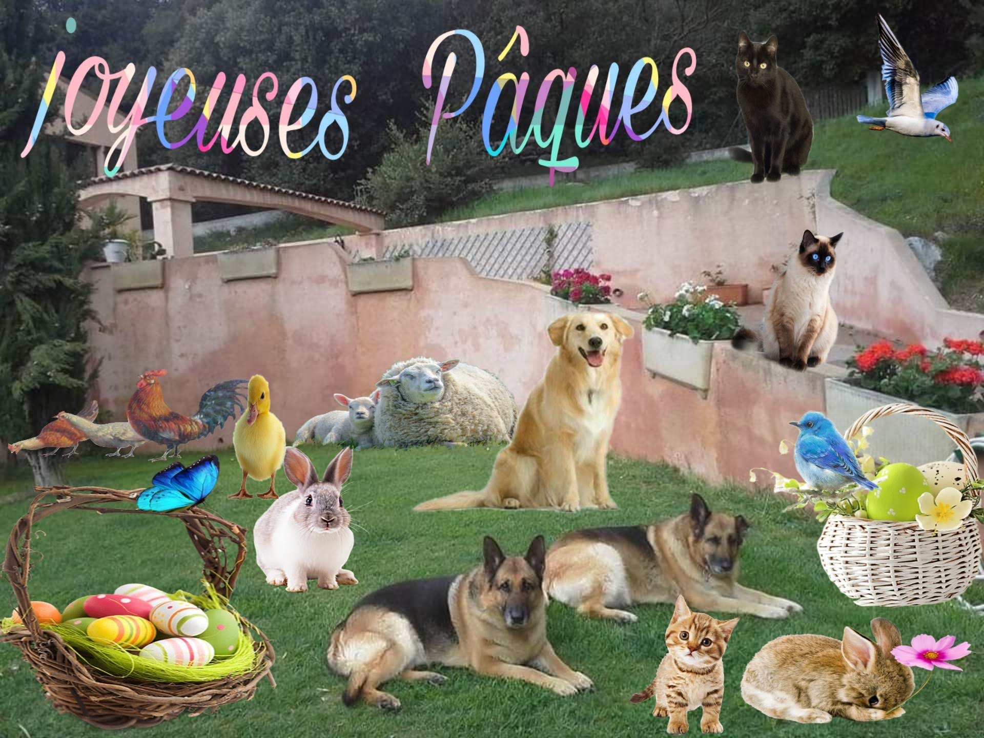 Photo n° 5 de l'avis de Pierre.o fait le 20/04/2019 à 14:24
