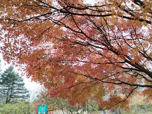 Tourist Attraction «Hoyt Lake», reviews and photos, 199 Lincoln Pkwy, Buffalo, NY 14222, USA