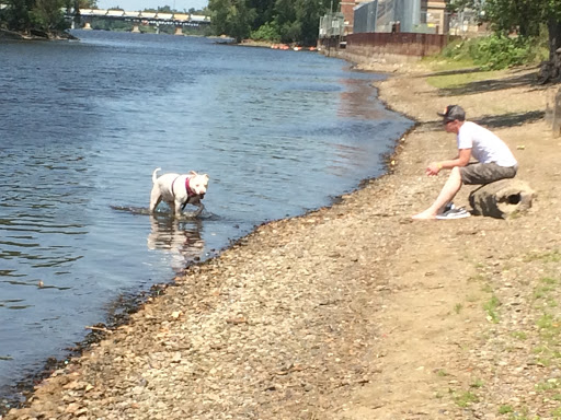 Park «Marshall Terrace Park», reviews and photos, 2740 Marshall St NE, Minneapolis, MN 55418, USA