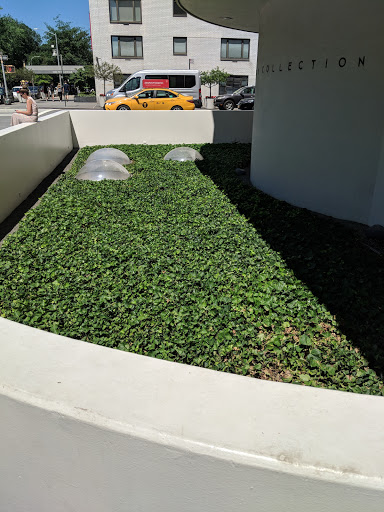 Modern Art Museum «Solomon R. Guggenheim Museum», reviews and photos, 1071 5th Ave, New York, NY 10128, USA