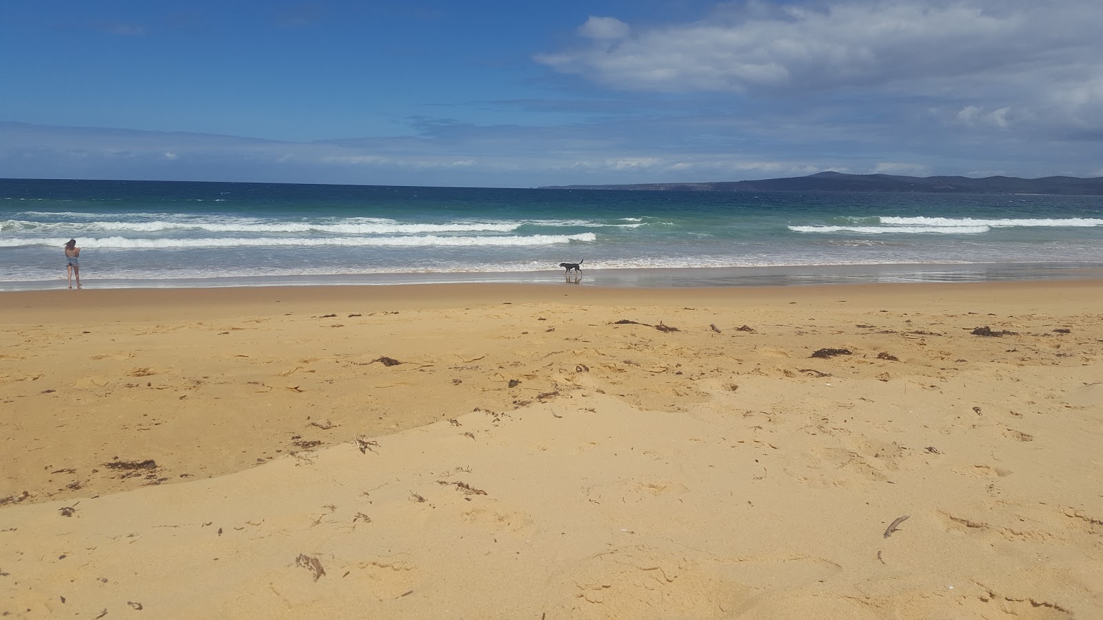 Foto di Aslings Beach - luogo popolare tra gli intenditori del relax