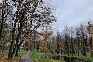 Šiaulių miesto centrinis parkas image