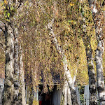 Photo n°2 de l'avis de Ilka.l fait le 07/11/2022 à 08:22 sur le  Seehotel Berlin-Rangsdorf à Rangsdorf