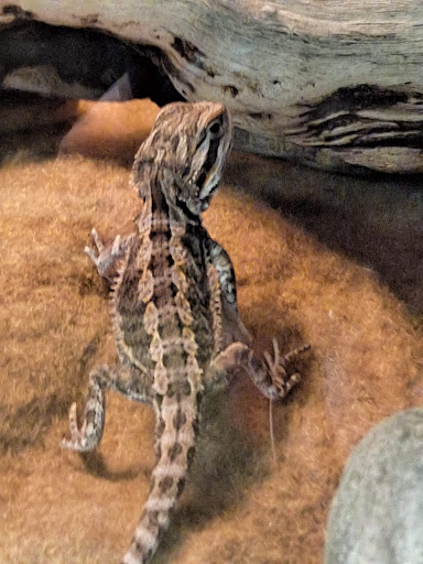 Pet Supply Store «PetSmart», reviews and photos, 640 W 300 N, Warsaw, IN 46582, USA