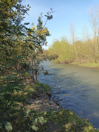 Río Liguay