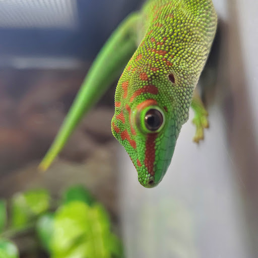 Pet Supply Store «Petco Animal Supplies», reviews and photos, 48 Watertower Plaza, Leominster, MA 01453, USA