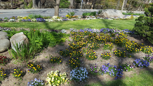 Amusement Park «Ober Gatlinburg», reviews and photos, 1001 Parkway #2, Gatlinburg, TN 37738, USA