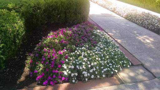 University of La Verne image