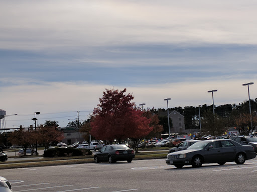 Grocery Store «Food Lion», reviews and photos, 5209 Plaza Dr, Hopewell, VA 23860, USA