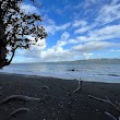 Orpheus Bay Beach