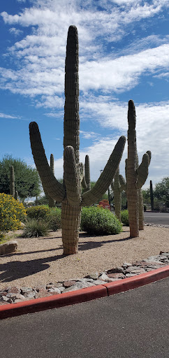 Hotel «Desert Diamond Casino & Hotel», reviews and photos, 7350 South Nogales Highway, Tucson, AZ 85756, USA