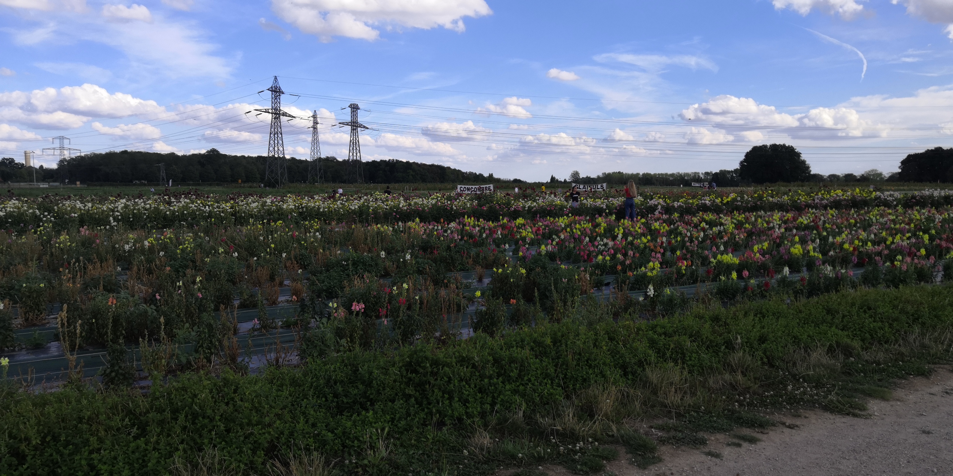 Photo n° 5 de l'avis de ludovic.e fait le 15/08/2020 à 18:54
