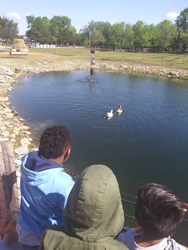 Tourist Attraction «Lucky Ladd Farms», reviews and photos, 4374 Rocky Glade Rd, Eagleville, TN 37060, USA