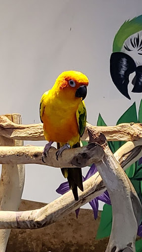 Aquarium «SeaQuest Interactive Aquarium Las Vegas», reviews and photos, 3528 S Maryland Pkwy #340, Las Vegas, NV 89169, USA