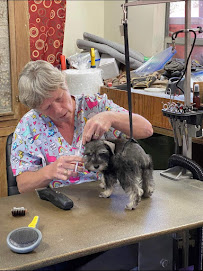 Beach Babies Pet Grooming - Photo 7 - Car repair in Pensacola, FL, Pensacola