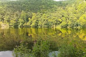 Štěchovice Reservoir image