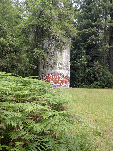 Nature Preserve «Gazzam Lake Nature Preserve», reviews and photos, 6105 NE Marshall Rd, Bainbridge Island, WA 98110, USA