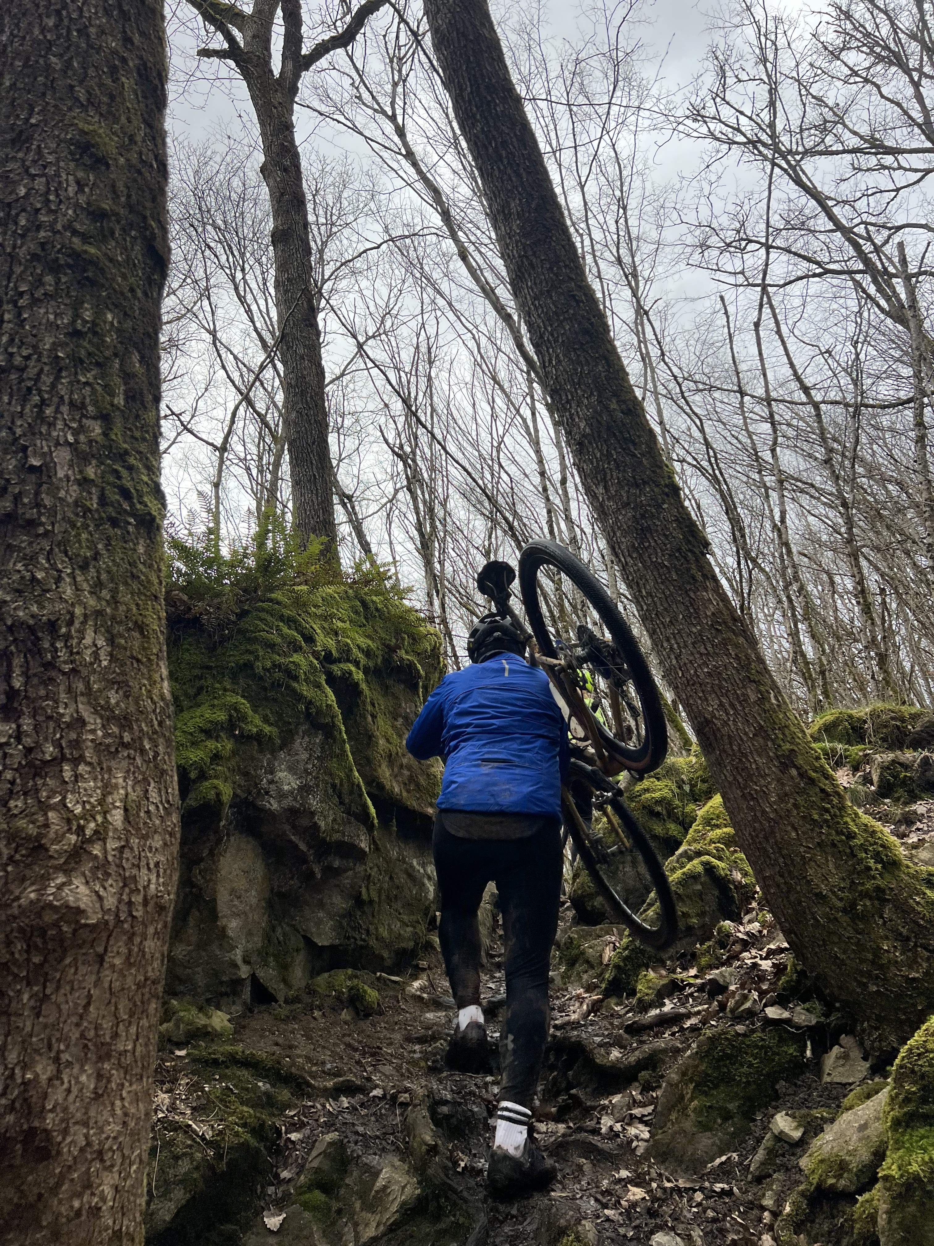 Photo n° 4 de l'avis de Charles.e fait le 17/03/2024 à 19:02