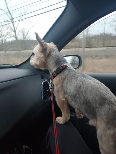 The Grooming Room, LLC.