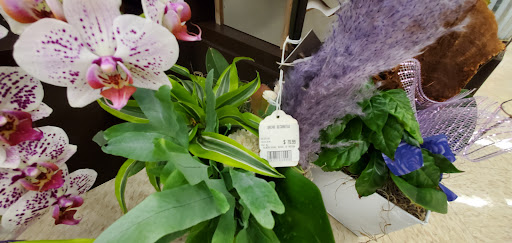 Grocery Store «Albertsons», reviews and photos, 1930 N Placentia Ave, Fullerton, CA 92831, USA