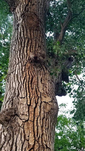 Museum «Curwood Castle Museum», reviews and photos, 224 Curwood Castle Dr, Owosso, MI 48867, USA