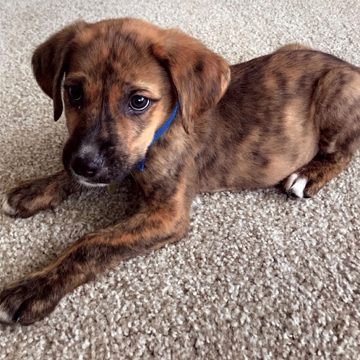 Insurance Agency «Integrity First Insurance», reviews and photos