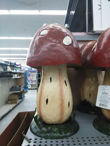 Department Store «Walmart Supercenter», reviews and photos, 1546 Marion-Mt Gilead Rd, Marion, OH 43302, USA