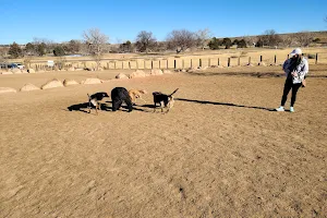 Kennedy Dog Park image