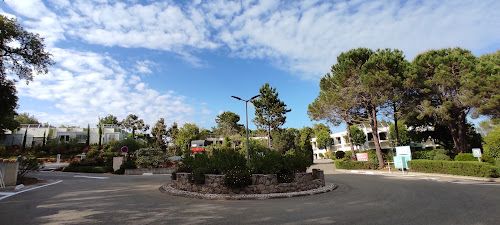 The Cardoulines à Valbonne